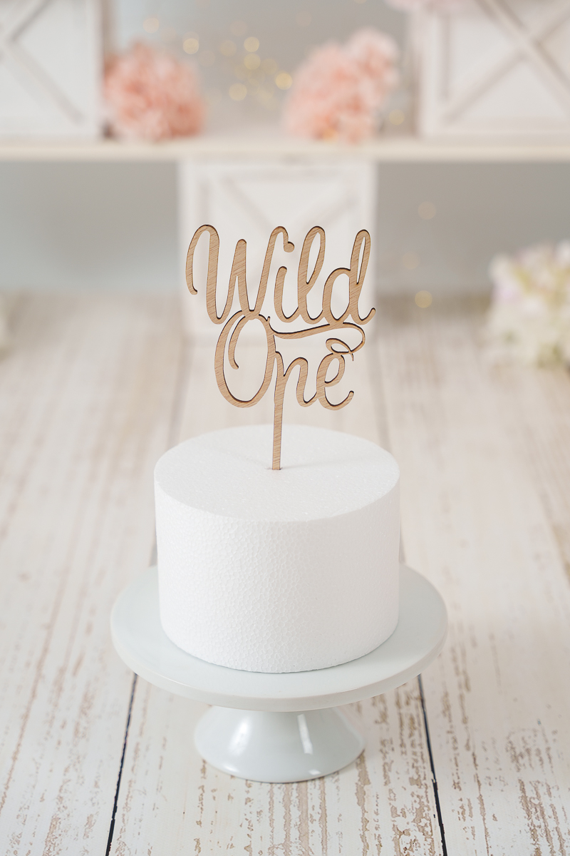 Veronika_Gant_Photography_San_Antonio_Cake_Smash_Session_setups_WEB-DSC07839